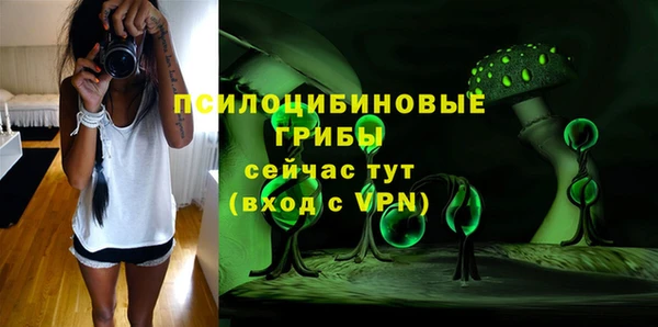 таблы Белокуриха