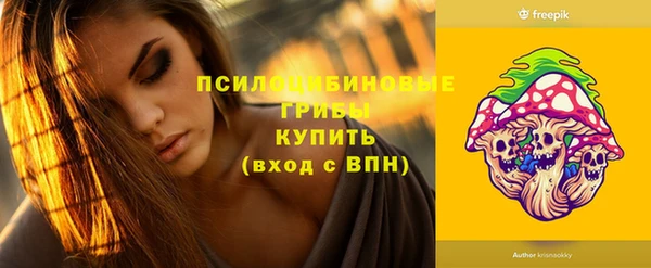 таблы Белокуриха