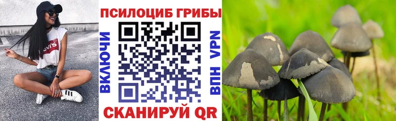 Галлюциногенные грибы мицелий  Облучье 